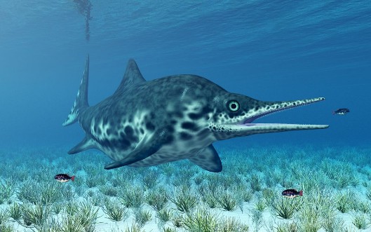 Picture of Ichthyosaurier Shonisaurus