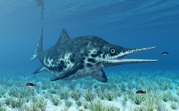 Bild på Ichthyosaurier Shonisaurus