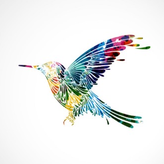 Afbeeldingen van Oiseau colorcolibri
