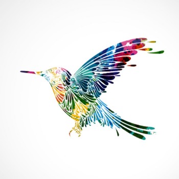 Bild på Oiseau colorcolibri