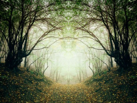Picture of Surreal forest path