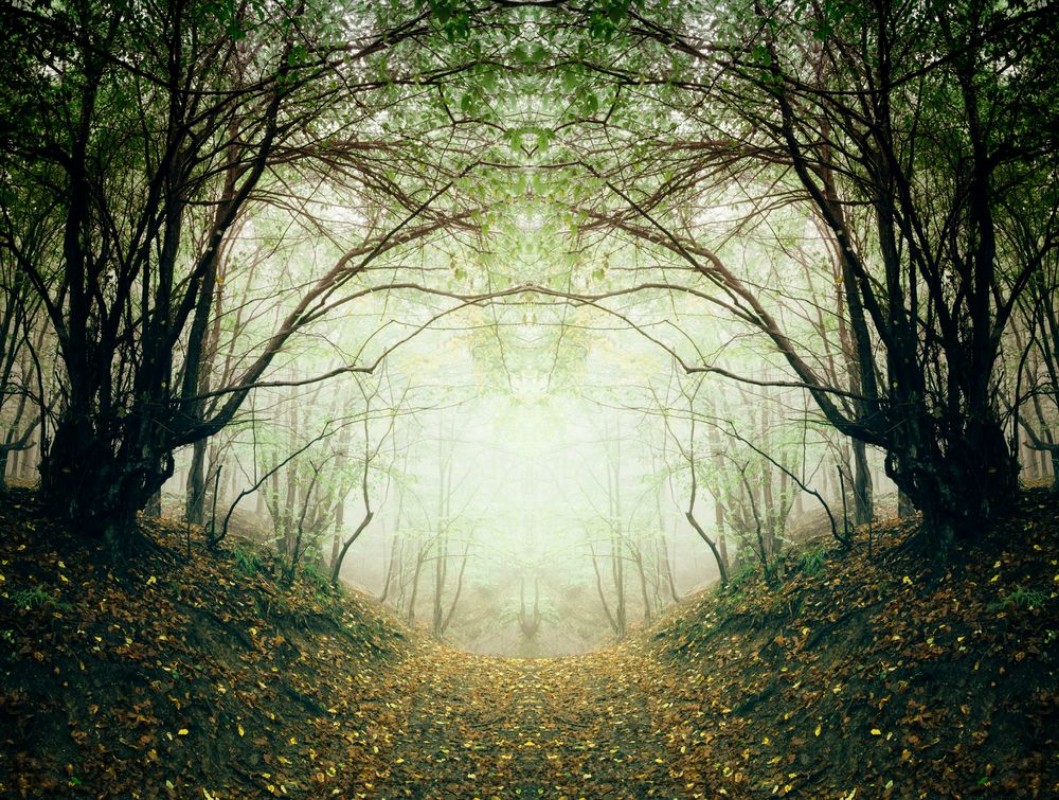 Afbeeldingen van Surreal forest path