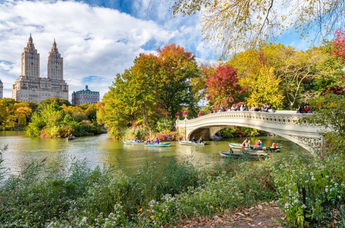 Picture of Beautiful foliage colors of New York Central Park