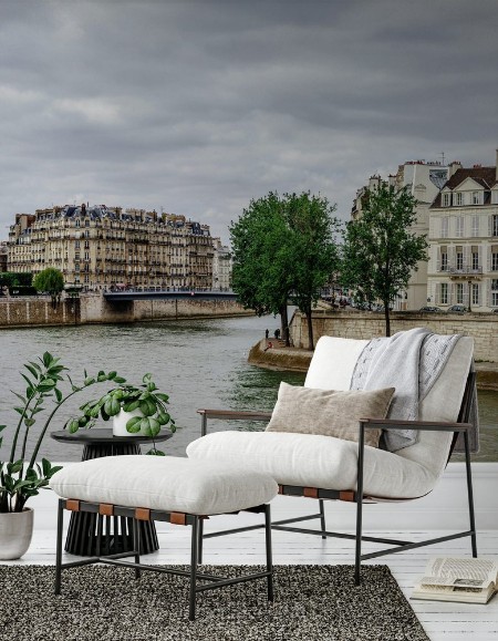 Picture of Seine river in Paris panoramic view