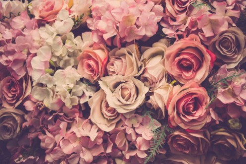 Bild på Valentine day background Retro pink roses flower background