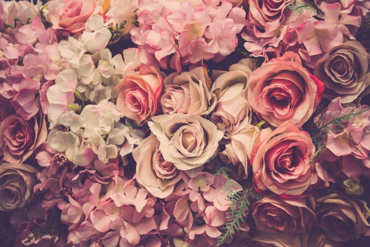 Afbeeldingen van Valentine day background Retro pink roses flower background