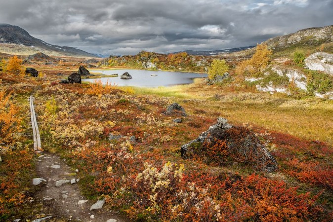 Bild på Wildes Lappland - Nordschweden
