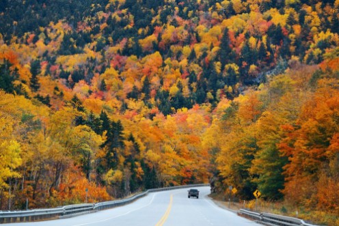 Picture of Highway and Autumn foliage