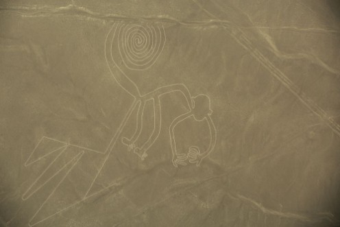 Bild på Nazca Lines  The Monkey