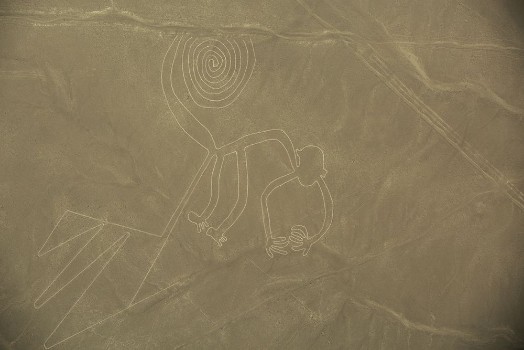 Bild på Nazca Lines  The Monkey