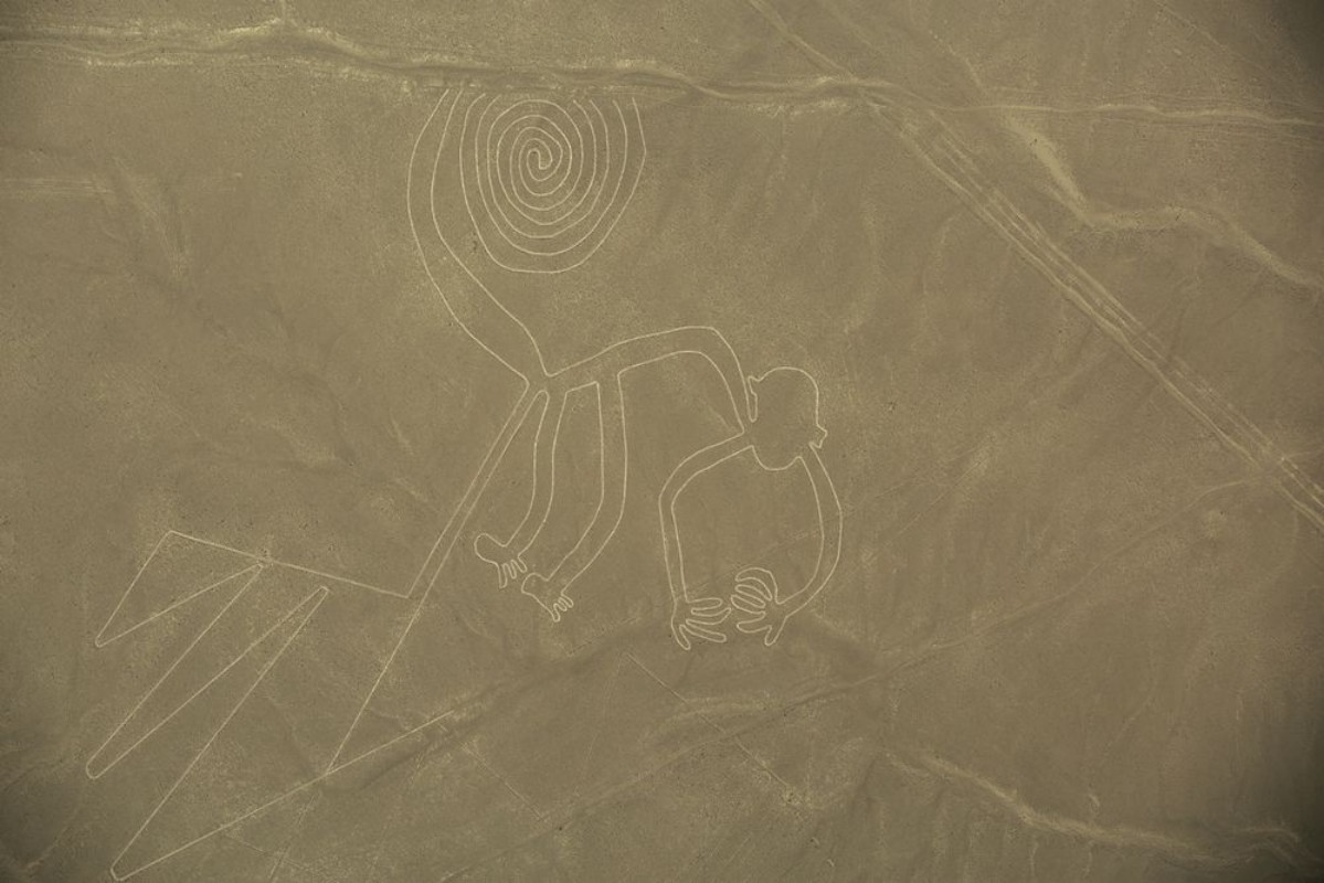 Image de Nazca Lines  The Monkey