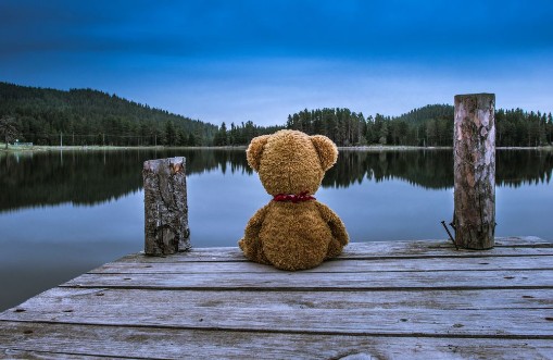Image de Teddy bear sitting on a pier