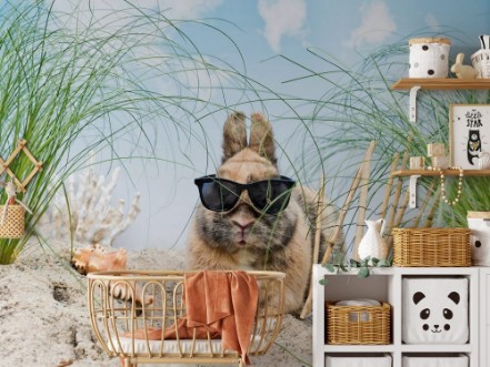 Bild på Kaninchen mit Sonnenbrille in den Dnen