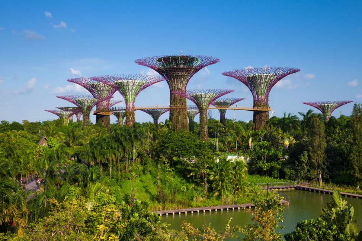 Image de Daytime view of the Supertree grove at Gardens By The Bay Singa