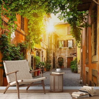 Afbeeldingen van View of Old street in Trastevere in Rome
