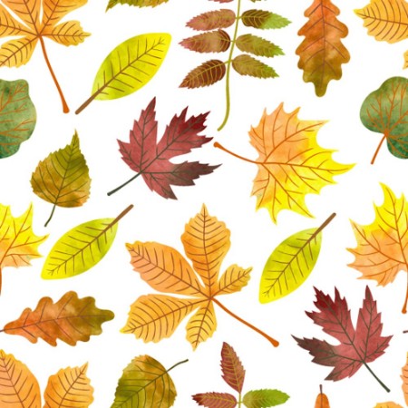 Afbeeldingen van Watercolor autumn leaves seamless pattern Vector colorful fall background with maple chestnut rowan poplar leaves 
