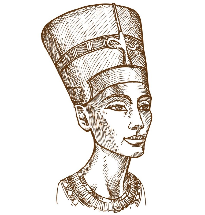 Afbeeldingen van Bust of Nefertiti hand drawn