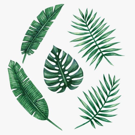 Watercolor tropical palm leaves Vector illustration photowallpaper Scandiwall