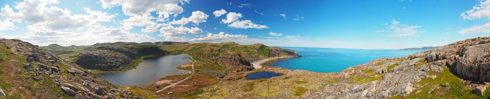 Bild på Tundra in the north of Russia Panorama