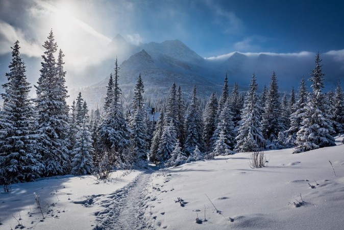 Image de Enjoy your winter journey in Tatras Mountains Poland