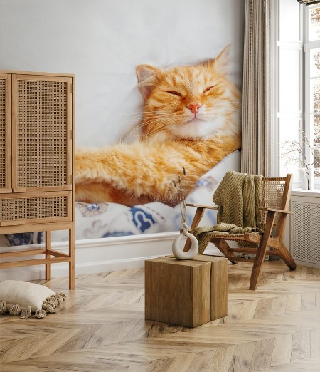 Bild på Cute ginger cat lying in bed under a blanket Fluffy pet comfortably settled to sleep Cozy home background with funny pet Flat lay Top view place for text