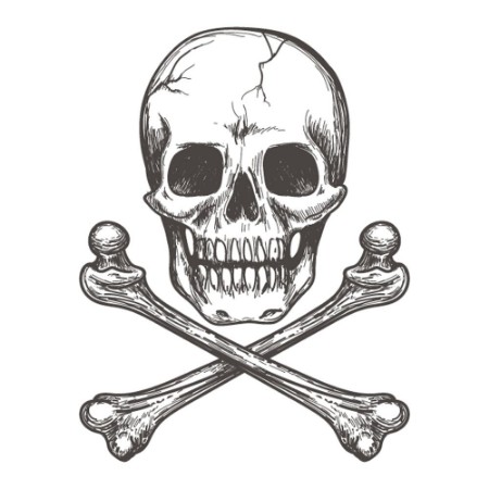 Bild på Skull and crossbones for tattoo or biker jacket vector illustration
