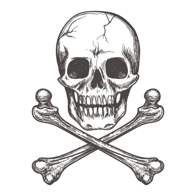 Image de Skull and crossbones for tattoo or biker jacket vector illustration