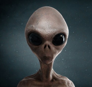 Bild på Alien