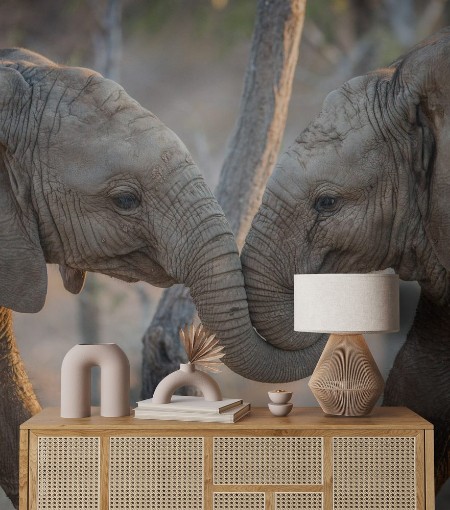 Image de Elephants playing in the Kruger