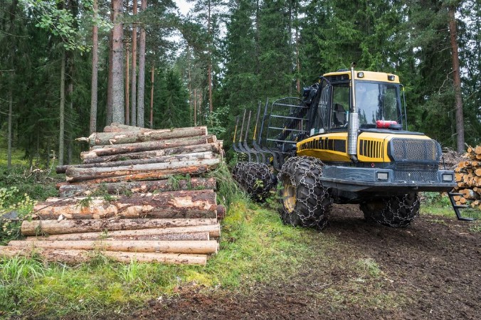 Bild på Forestry in Finland