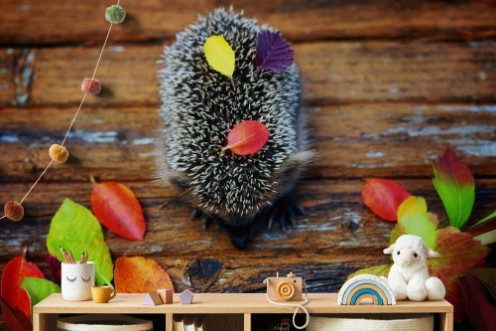 Bild på Hedgehog on the old wooden background in grunge style with autumn leaves rural retro style