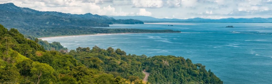 Picture of Panoramic view of a road going through the coast by the pacific ocean at Dominicalito beach in southern Costa Rica