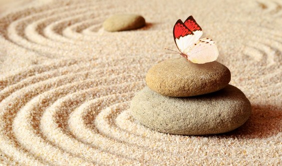 Afbeeldingen van Butterfly on a zen stone