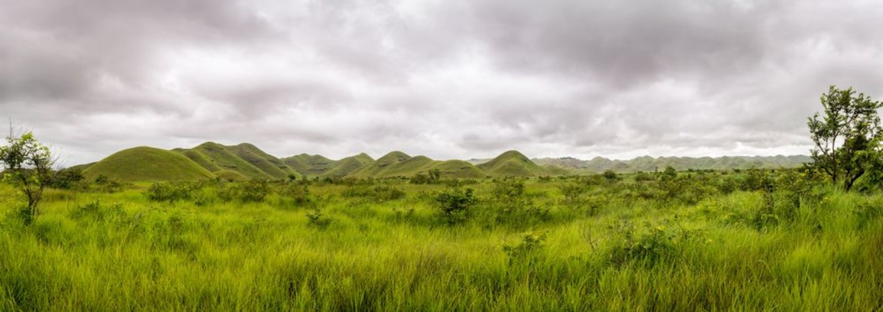 Picture of Panorama of african hills in Congo Mountain of the Moon