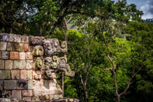 Bild på Carved detail at Mayan Ruins - Copan Archaeological Site Honduras