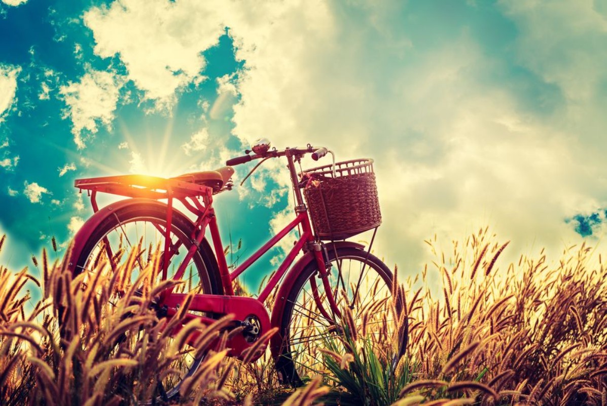 Image de Beautiful landscape image with Bicycle at sunset