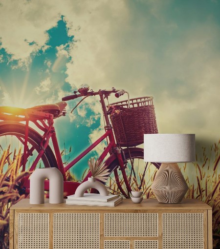 Bild på Beautiful landscape image with Bicycle at sunset