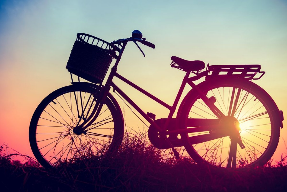 Afbeeldingen van Landscape picture Vintage Bicycle with Summer grass field at sun
