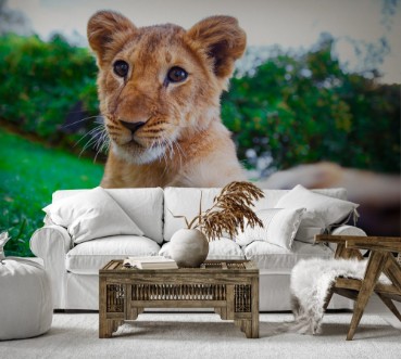 Afbeeldingen van Lion cub giving a paw in green sunny savanna 