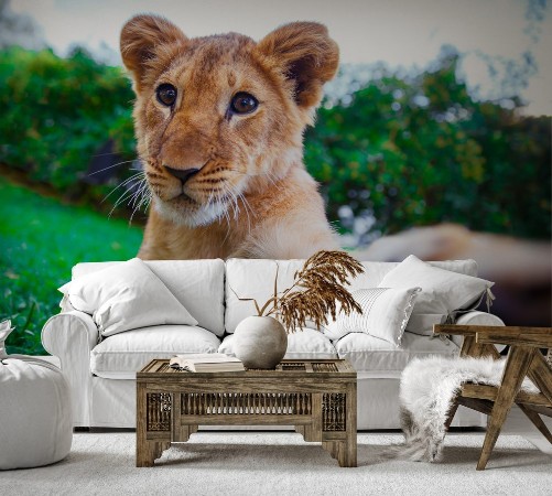 Image de Lion cub giving a paw in green sunny savanna 