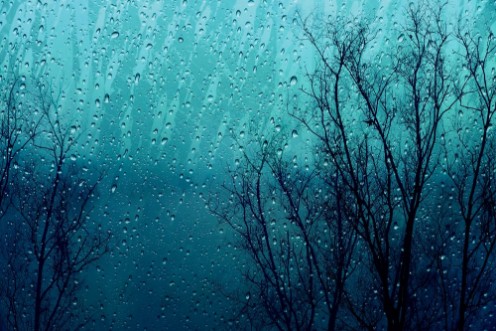 Picture of Rain drop on glass window with Fall Dry Tree Outside Feeling Sadness concept