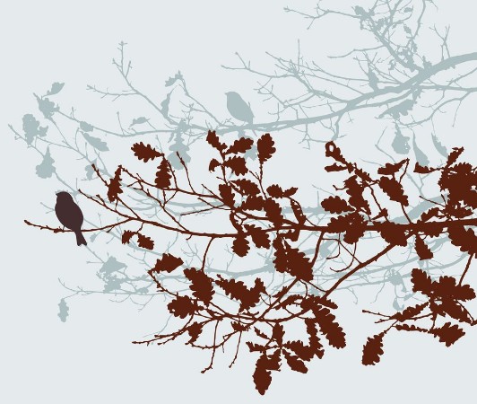 Afbeeldingen van Oak branches in the autumn