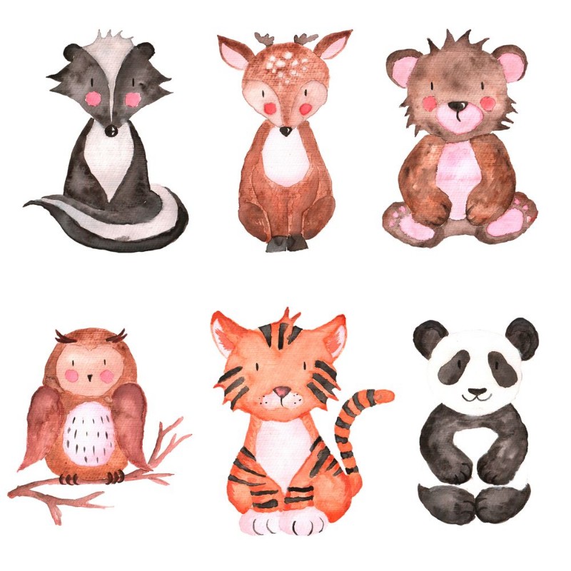 Picture of Woodland Animals Set of Watercolor Illustrations Hand-painted forest Cute baby 