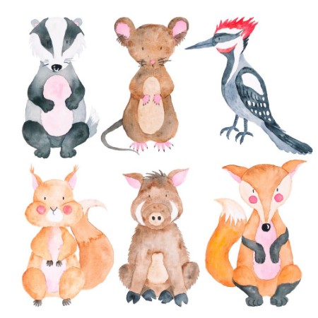 Bild på Woodland Animals Set of Watercolor Illustrations Cute Animals Forest