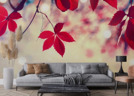 Picture of Colorful autumn leaves over blurred nature background Fall