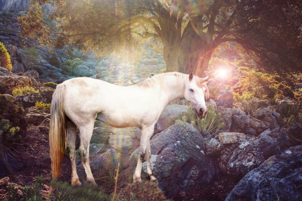 Afbeeldingen van Unicorn realistic photography