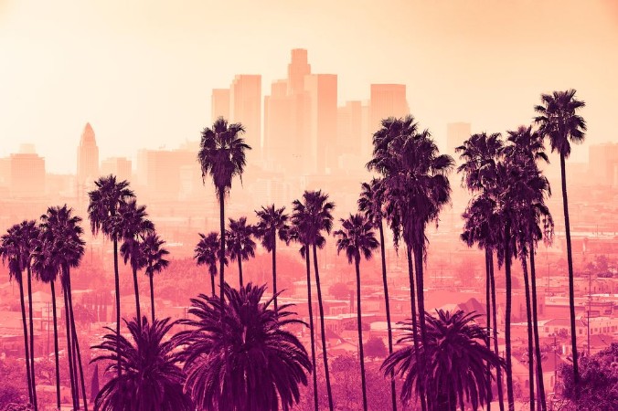 Picture of Los Angeles skyline with palm trees in the foreground