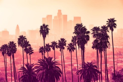 Los Angeles skyline with palm trees in the foreground photowallpaper Scandiwall