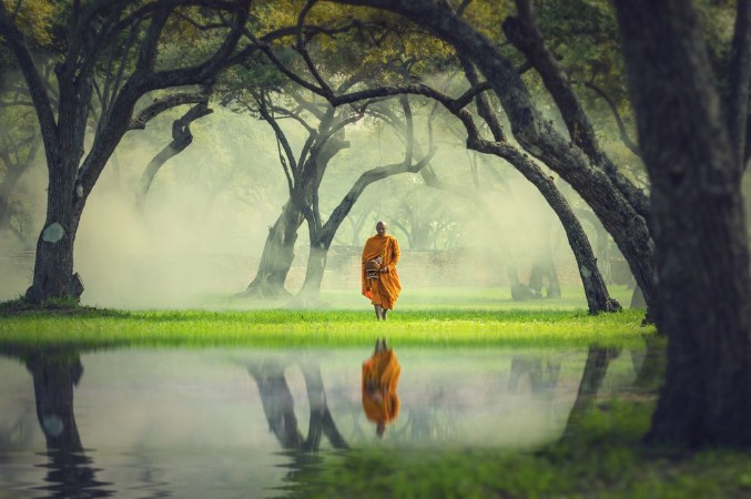 Picture of Monk hike in deep forest reflection with lake Buddha Religion c