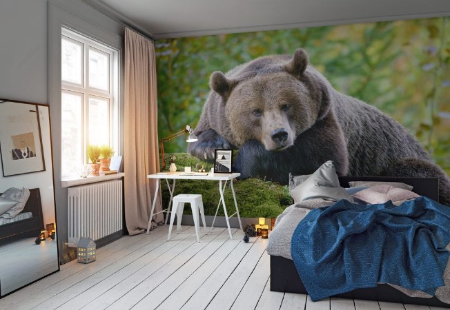 Picture of Resting Bear